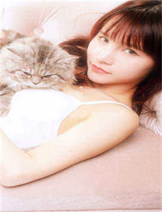 《快乐大本营2009-明星合成斗转星移》